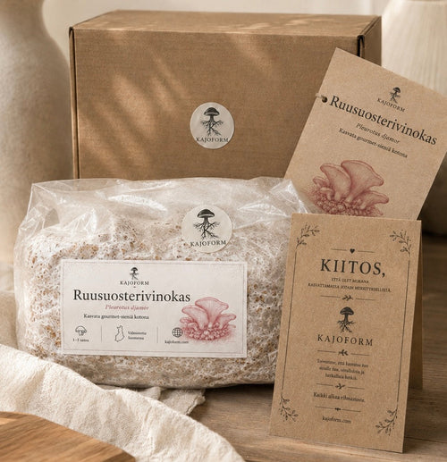 Kajoform Ruusuosterivinokas Grow Kit tuotekuva