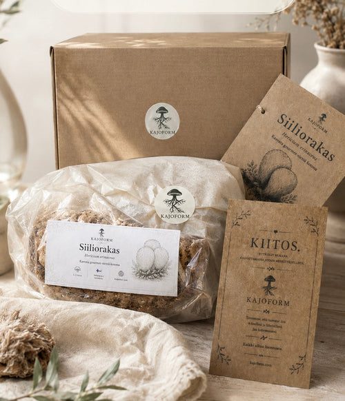 Kajoform Siiliorakas eli Lion's Mane Grow Kit tuotekuva