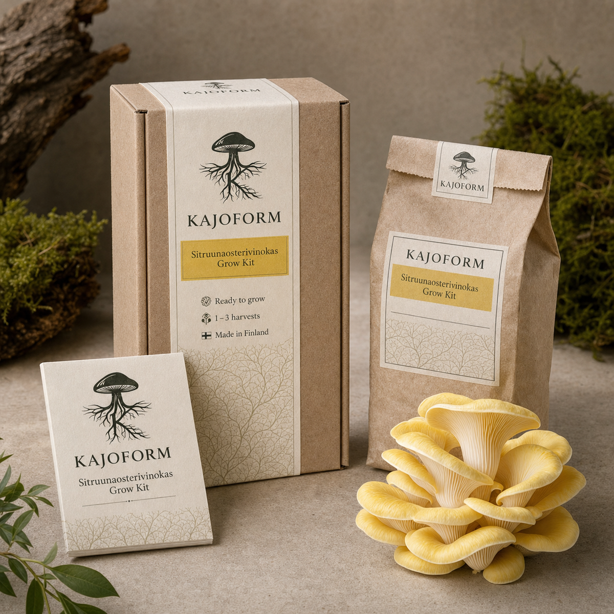 Kajoform Sitrusosterivinokas Grow Kit all-in-one pakkauskuva